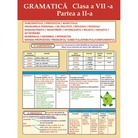 Plansa gramatica clasa 7 partea II - 6 pagini