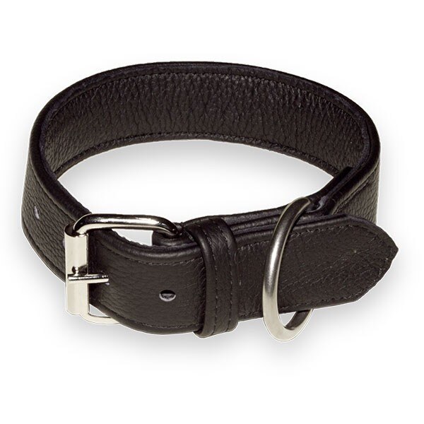 Zgarda K9 piele - 40 mm x 75 cm / neagra