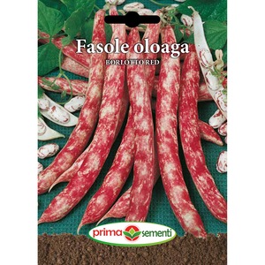 Bulbi, seminte si rasaduri