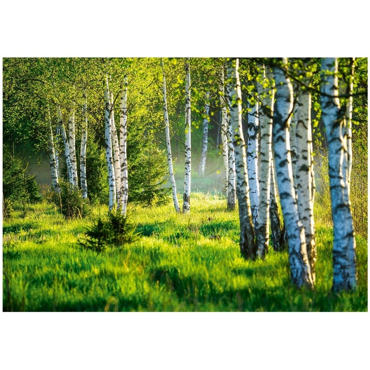 Фототапет Forest Trees Nature 400x280 см, Модерен нетъкан тапет, За Спалня Всекидневна