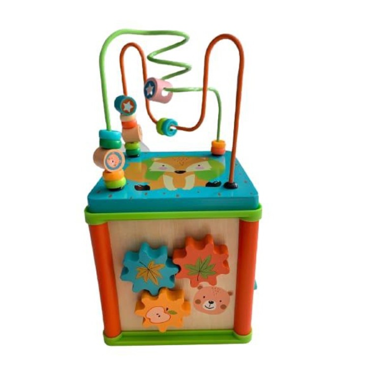 Cub Interactiv, Educativ Montessori