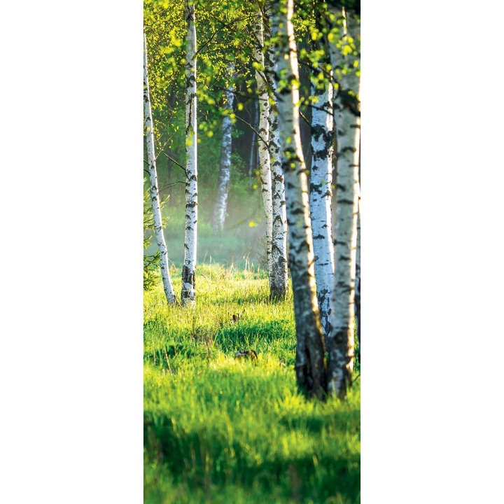 Öntapadó PVC ajtóra tapéta, 91x211 cm, Modern tapéta Forest Nature