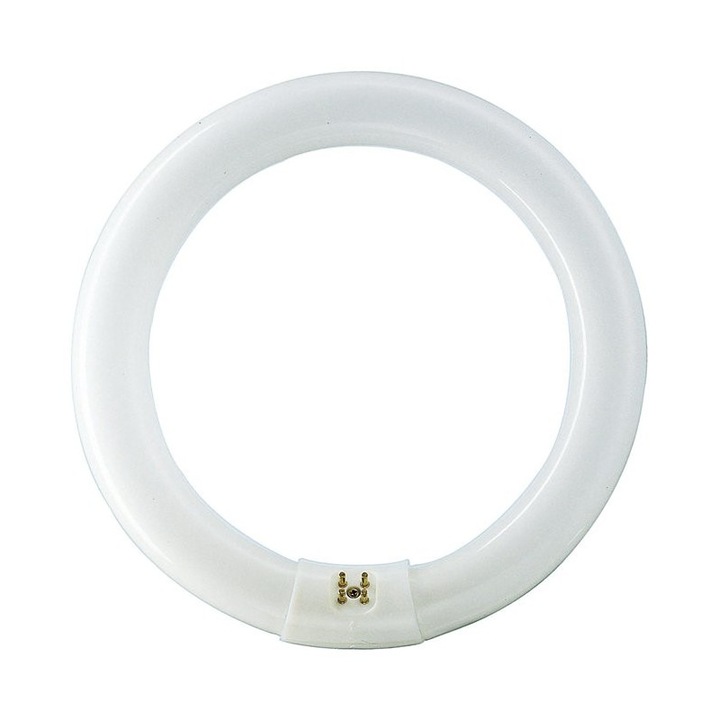 Tub Fluorescent Circular TL-E 22W