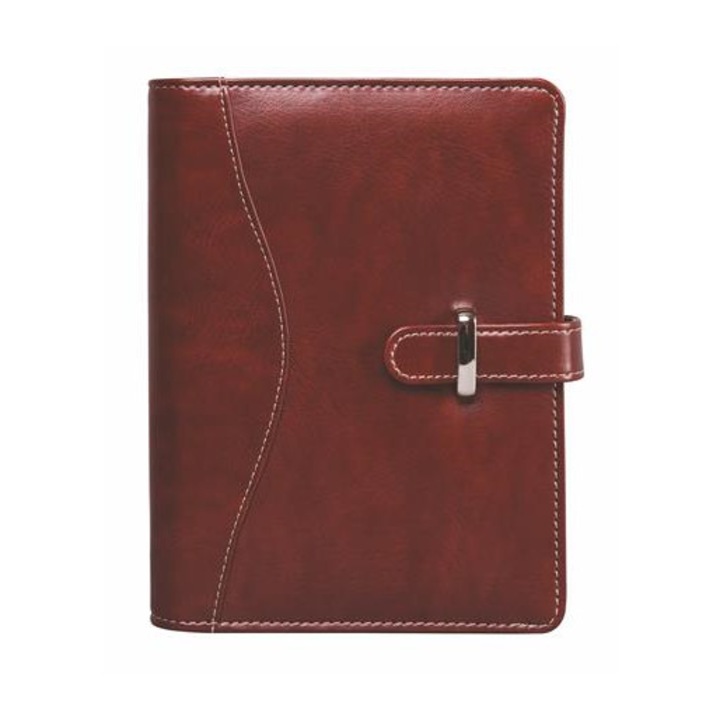 Agenda, Saturnus, Piele, Visiniu