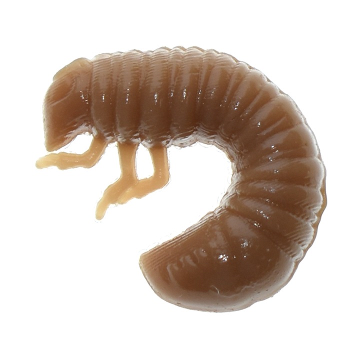 8 db-os lágy csali készlet, Harmony Baits Scarab Cheese 2,7 cm 021, pisztráng, domolykó vagy süllő horgászatához