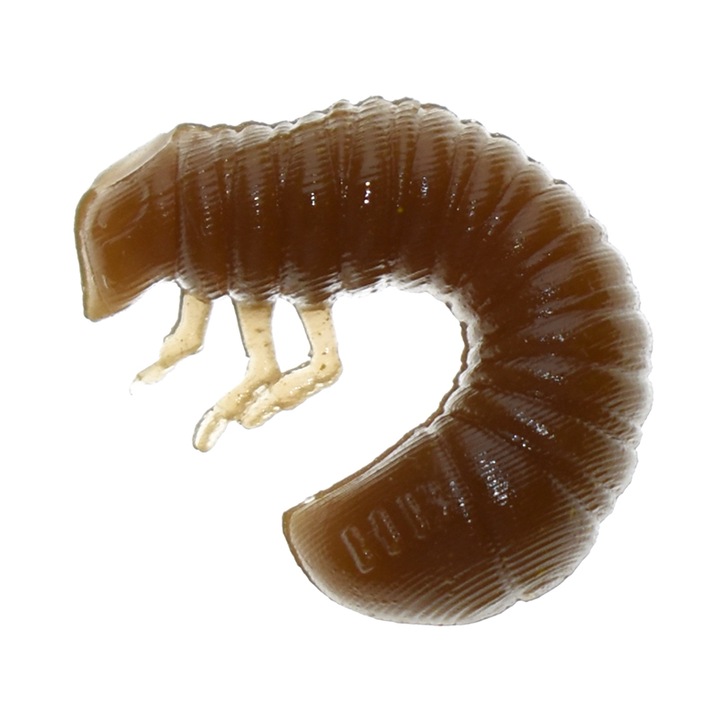 10 db-os lágy csali készlet, Harmony Baits Scarab Cheese 2cm 023, pisztráng, domolykó vagy süllő horgászatához