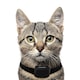 NUM’AXES Canifugue SMALL Láthatatlan kerítés macskáknak és nagyon kis testű kutyáknak