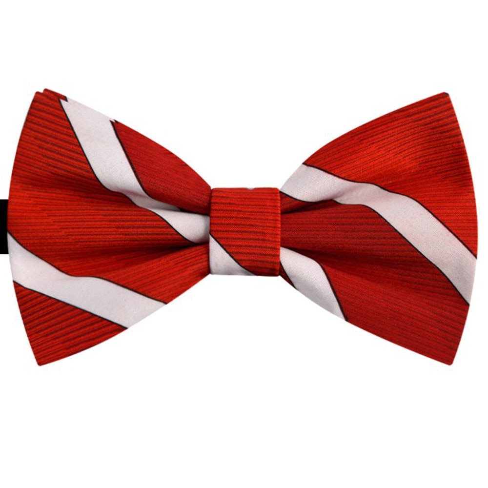 Papion rosu Vermillon, model dungi albe