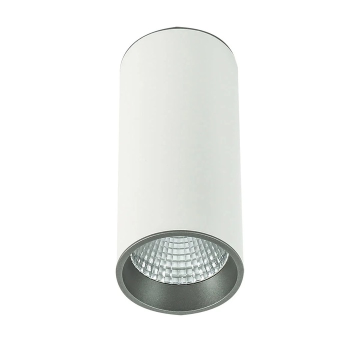 Moldes spotlámpa, LED 12W, fehér, 9x20,2cm, IP20