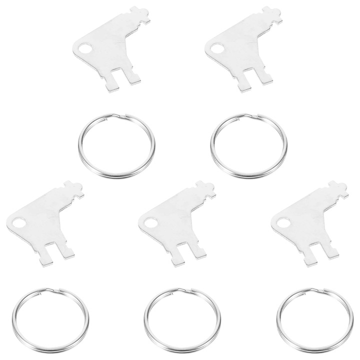 Set 5 chei pentru dispenser de prosoape de hartie, Metal, Argintiu