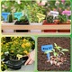 Set 150 Etichete pentru Plante, SINBINTA, Etichete Reutilizabile T din, Accesorii unelte gradinarit, Flexibil, Suprafata neteda, Rezistente la intemperii, Protectie UV, Instalare usoara, PVC, 10x6cm, Multicolor
