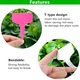 Set 150 Etichete pentru Plante, SINBINTA, Etichete Reutilizabile T din, Accesorii unelte gradinarit, Flexibil, Suprafata neteda, Rezistente la intemperii, Protectie UV, Instalare usoara, PVC, 10x6cm, Multicolor