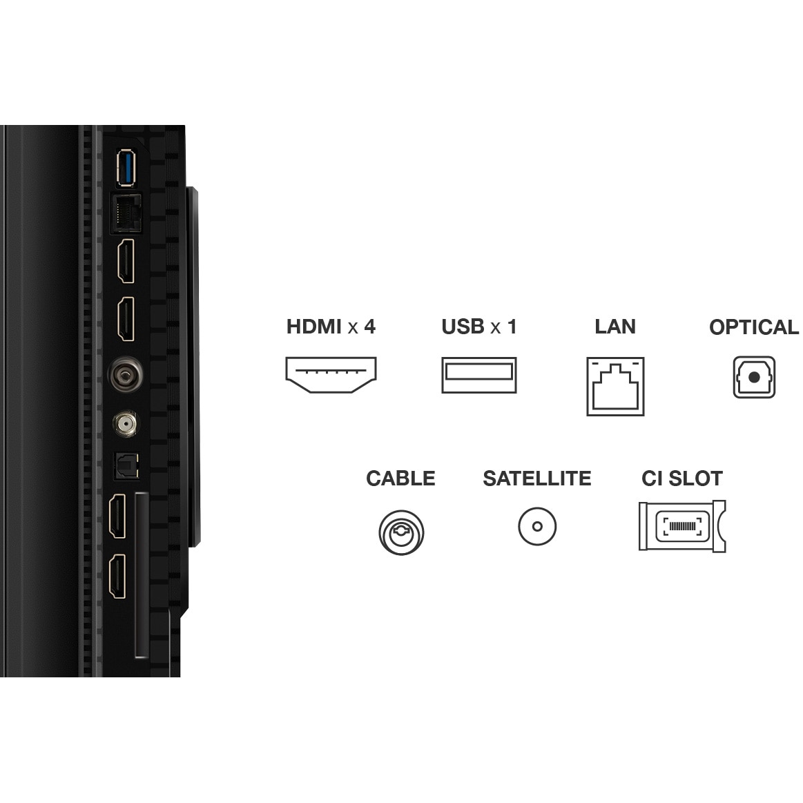 Televizor TCL QLED 65P8K, 164 cm, Smart Google TV, 4K Ultra HD, 100Hz, Clasa F (Model 2025)