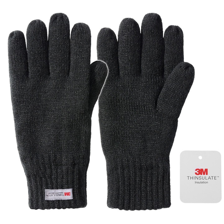 Manusi de iarna Brandit, 3M Thinsulate, negre, marimea M