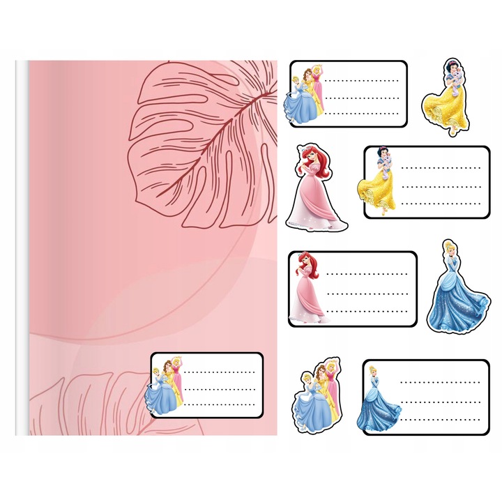 Комплект етикети за преносими компютри, калъф за света, 8 части, различни дизайни на принцеси, 10x12 см, многоцветни