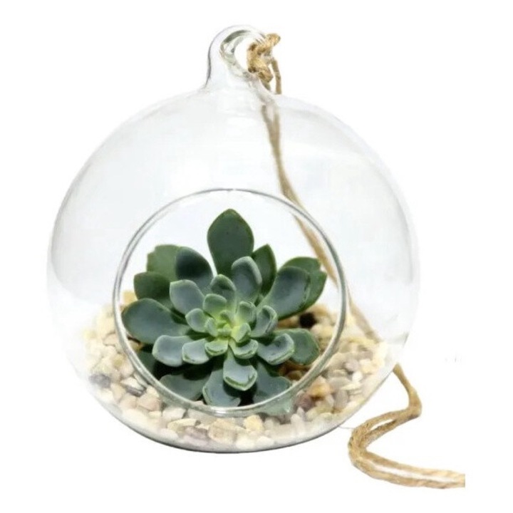 Glob Sticla Terariu Rotund, 11cm