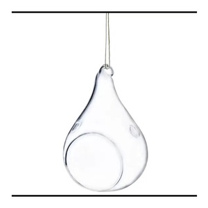 Ghivece si suporturi