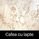Vopsea decorativa de Lux, Perla Luxury cu Fulgi Perlati, Cafea cu Lapte, 2.5 L