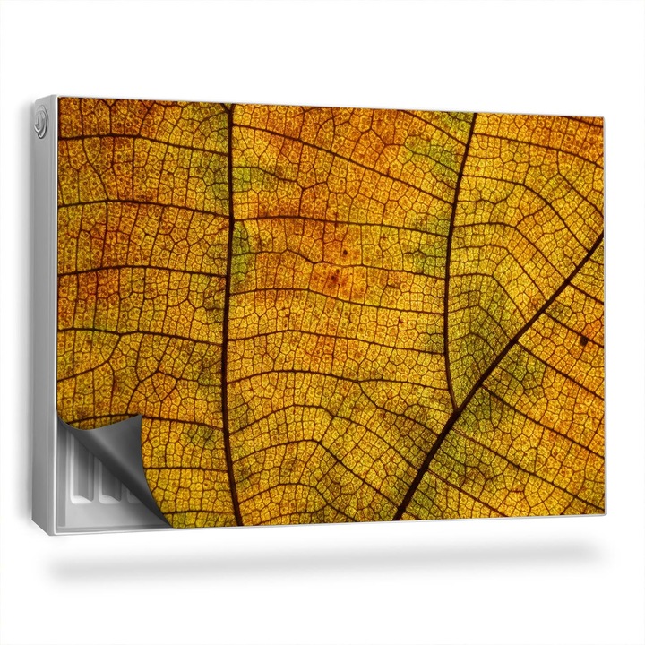 Capac decorativ pentru calorifer, Wallfluent, Venele frunzelor, Galben, 90 x 60 cm, 010220260040000282596