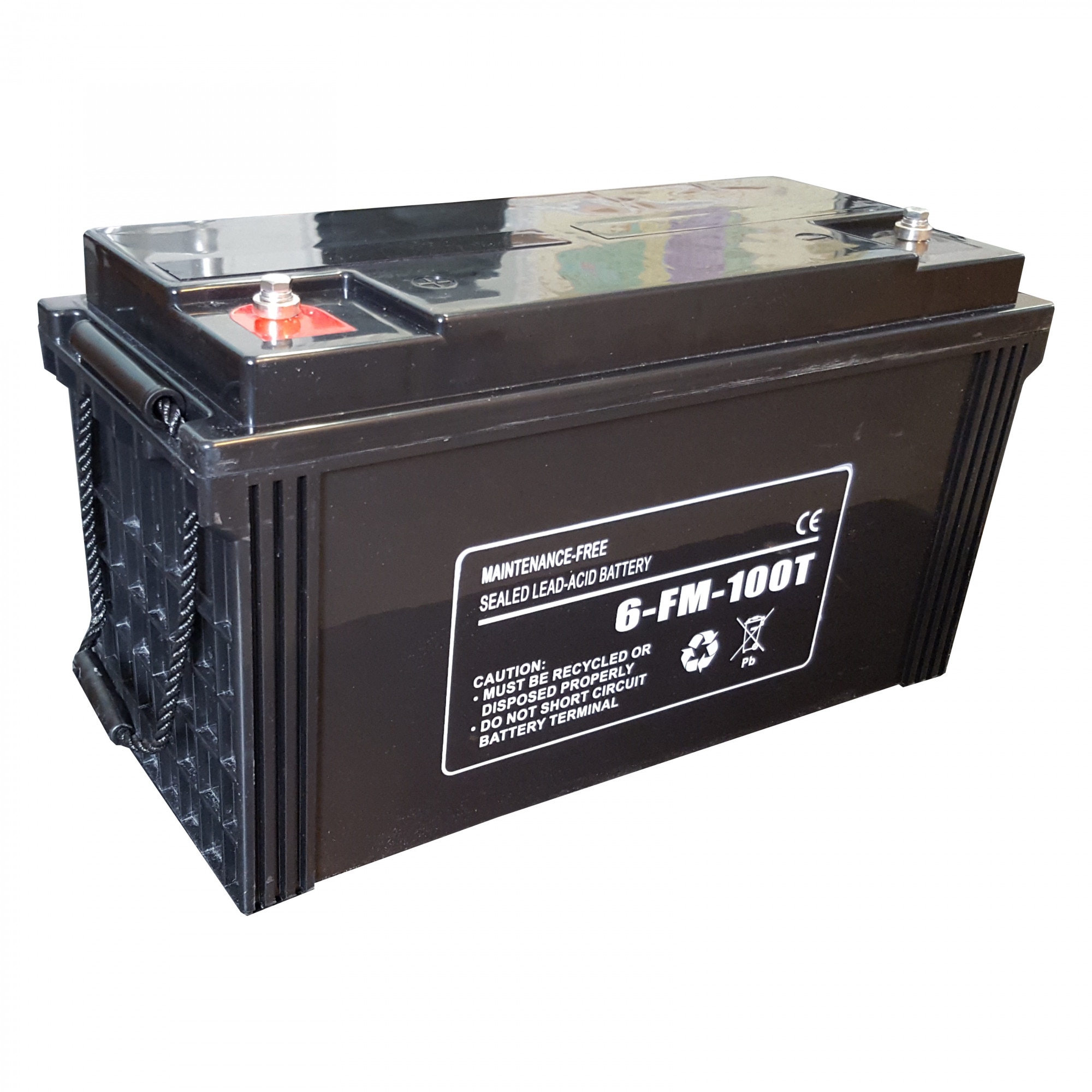 Acumulator LARICE 100Ah, 12V