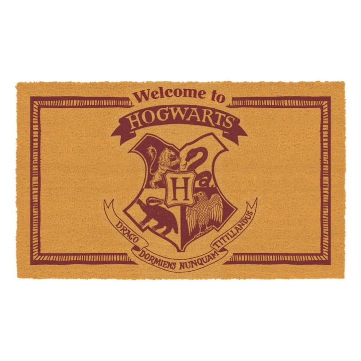 Covor de intrare Harry Potter, SD Toys, 40x60cm, licentiat oficial
