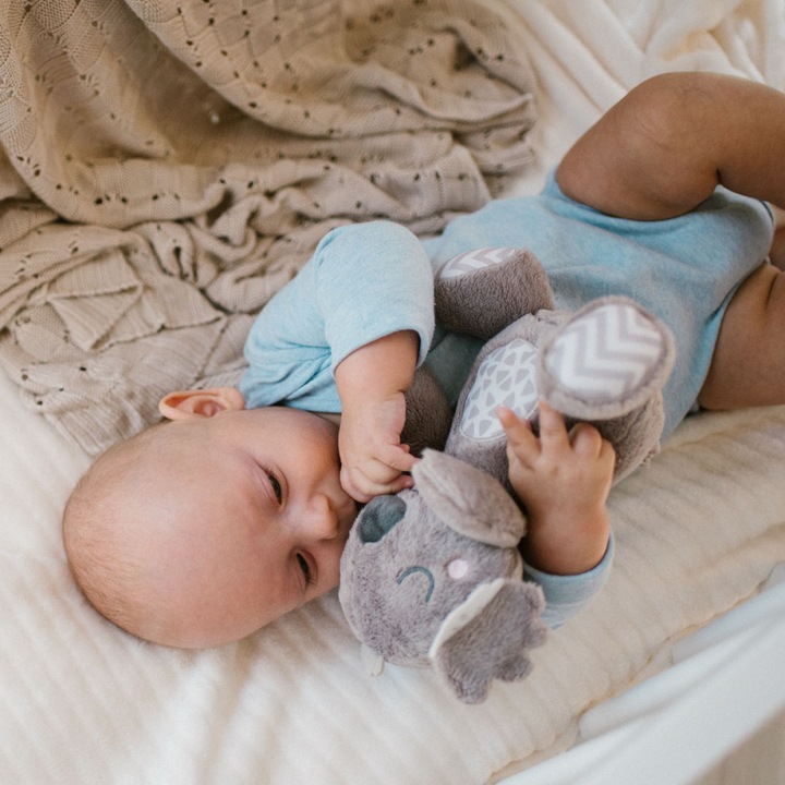 Плюшена играчка Babyono Koala Coco
