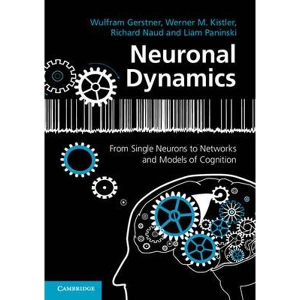 Neuronal Dynamics
