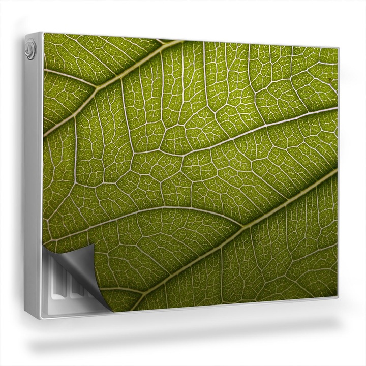 Magnet decorativ pentru calorifer, Wallfluent, Venele frunzelor, zoom, Verde, 80 x 60 cm, 010220260030000282593