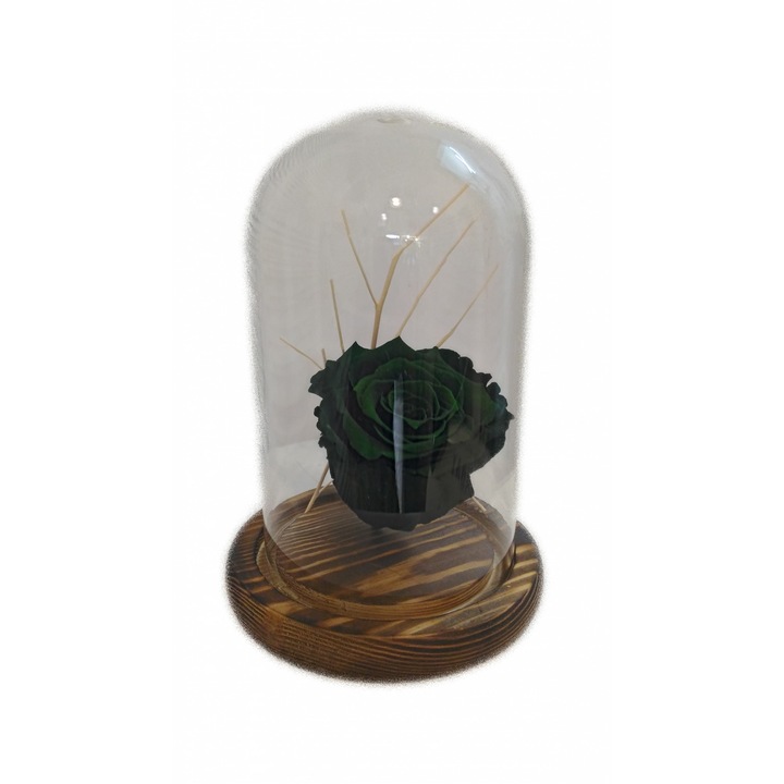 Trandafir verde conservat