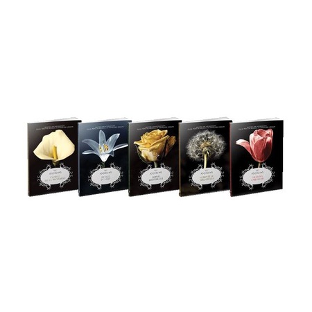 Pachet Florile De La Mansarda 5 Carti Emag Ro