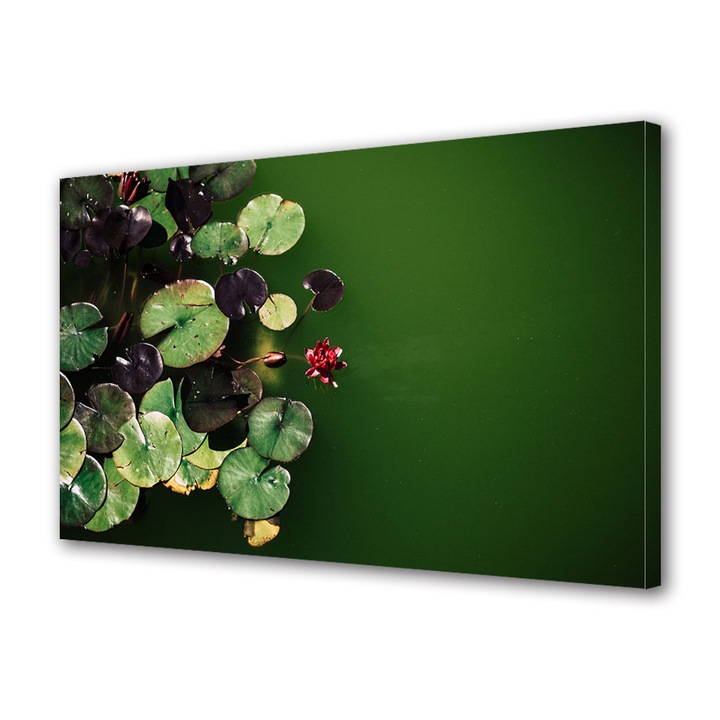 Tablou Canvas Premium Art Factory TrueColor Colectia Flori Nufar rosu pe apa, Decoratiuni Moderne pentru Casa, 20 x 30 cm