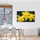 Tablou Canvas Premium Art Factory TrueColor Colectia Flori 3 Narcise, Decoratiuni Moderne pentru Casa, 40 x 60 cm
