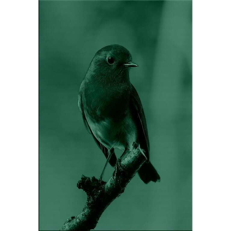 Tablou DualView Startonight Pasare pe craca, luminos in intuneric, 80 x 120 cm