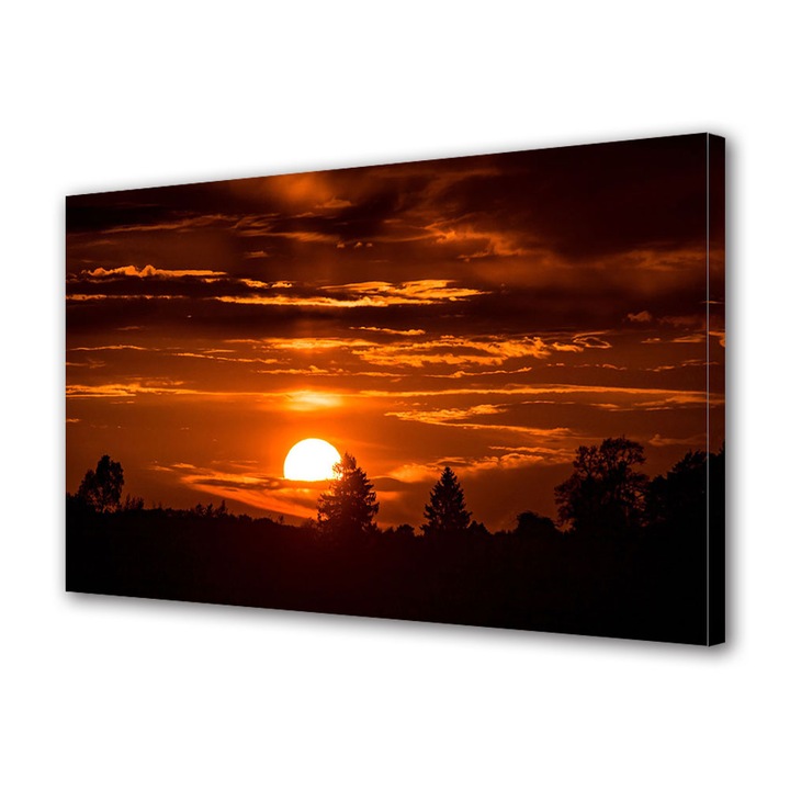 Tablou Canvas LED cu Intrerupator, Luminos in Intuneric, Premium Art Factory TrueColor Colectia Peisaje Apus de foc printre copaci, Decoratiuni Moderne pentru Casa, 40 x 60 cm