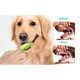 Periuta de dinti pentru animale, design cu doua degete, material TPR, 800 de perii moi, verde, potrivita pentru caini si pisici