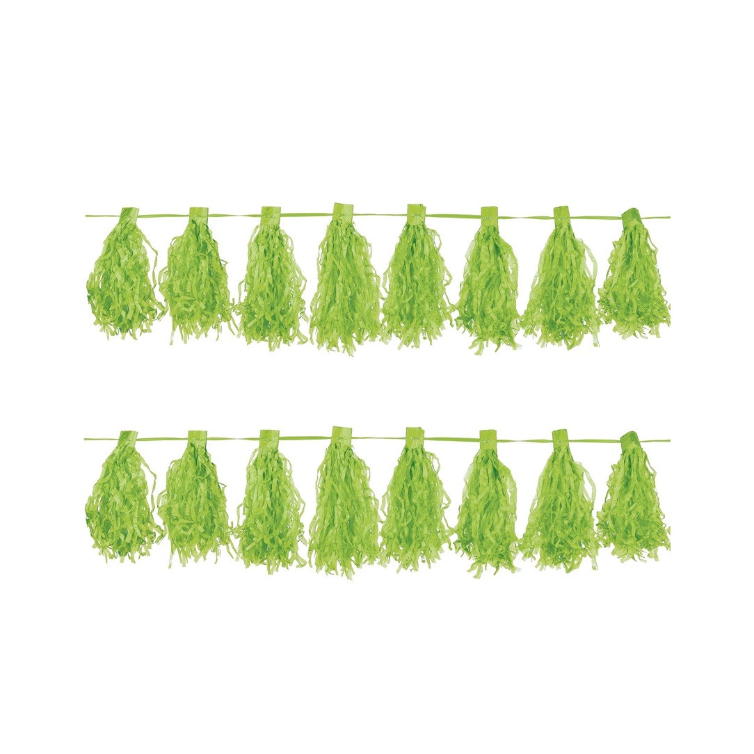 Ghirlanda Tassel 3M Verde Amscan AM220074-53-55