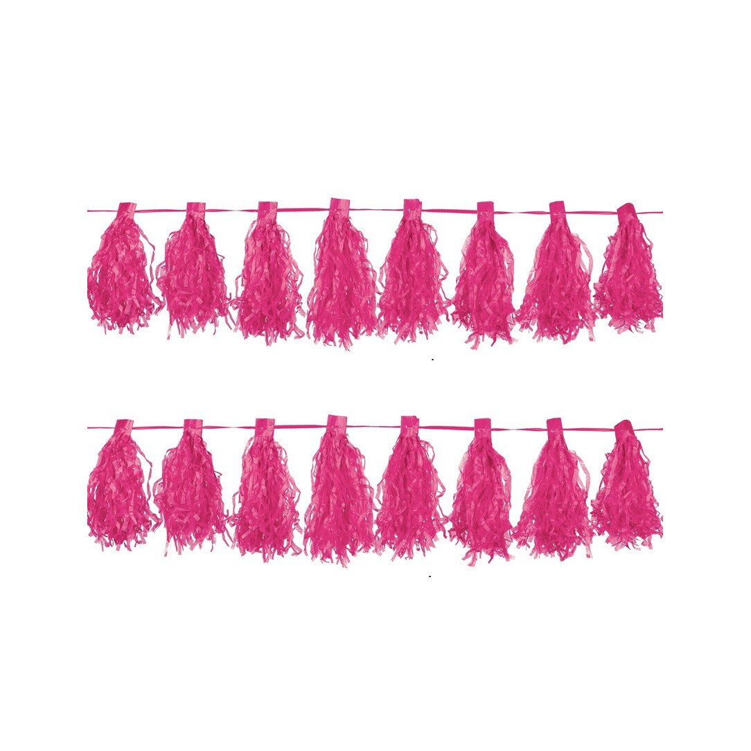 Ghirlanda Tassel 3M Roz Amscan AM220074-103-55