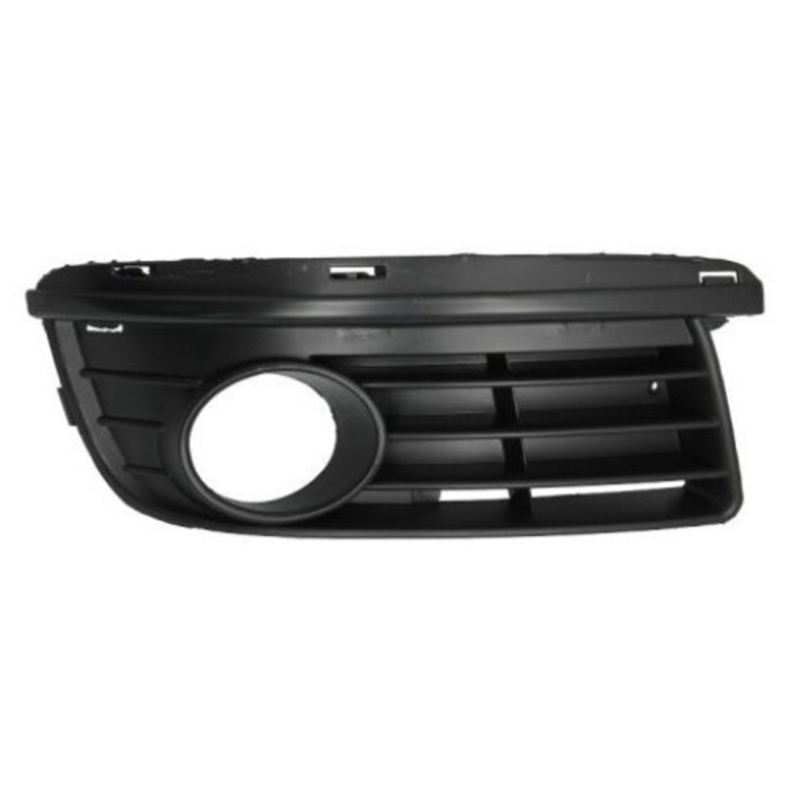 Grila ventilatie, bara protectie BLIC RW4596 compatibil VW GOLF V (1K1) 2003–2010