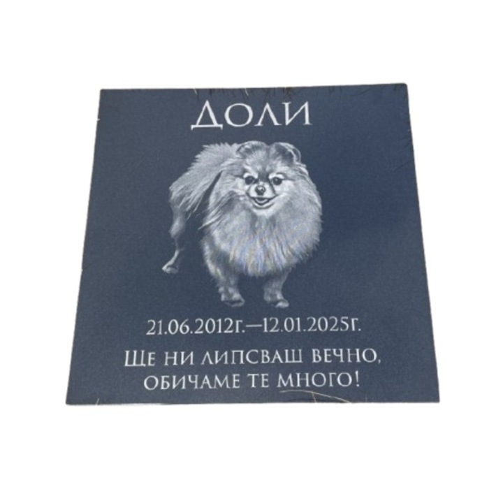 Piatra funerara pentru animale de companie, granit, 40x40x1,5 cm