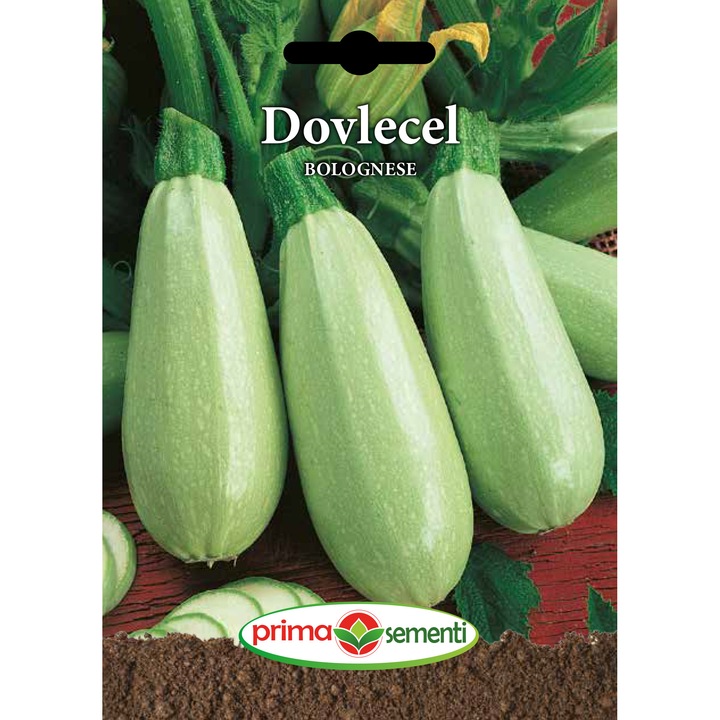 Dovlecel Bolognese 4 g