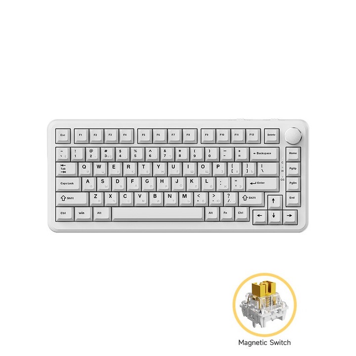 AK820 MAX tastatura mecanica cu fir AJAZZ ® Comutator magnetic dedicat eSports Latanta scazuta Precizie inalta 0.1mmRT reglabila Tastatura mecanica de joc cu hot-swap personalizata DIY suport pentru mai multe sisteme Adecvat pentru jocuri si birouri