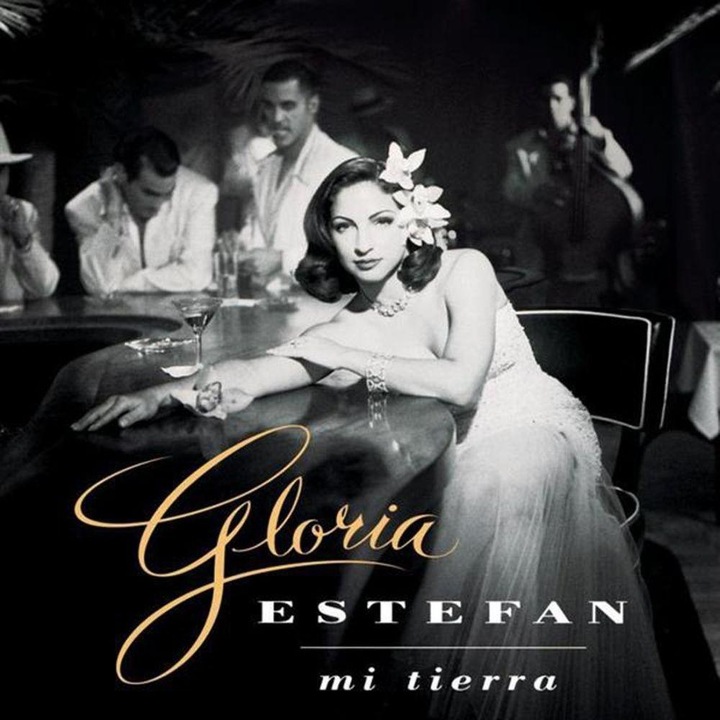 Gloria Estefan - Mi Tierra (180g Audiophile Pressing) - LP