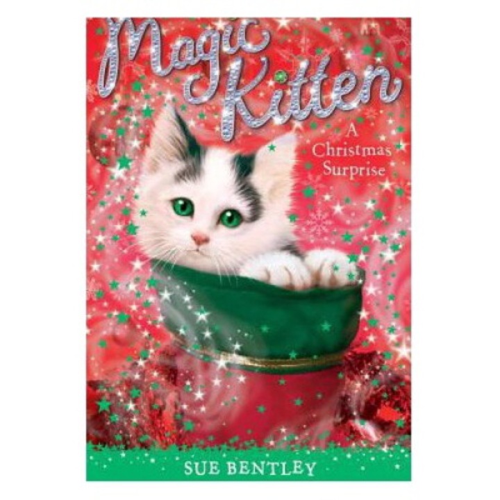 A Christmas Surprise - Sue Bentley