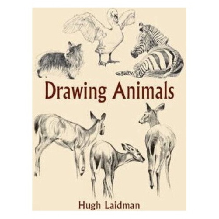Drawing Animals - Hugh Laidman