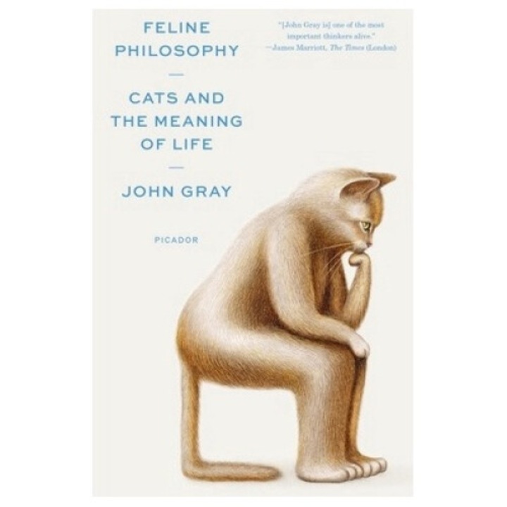 Feline Philosophy: Cats And The Meaning Of Life - John Gray