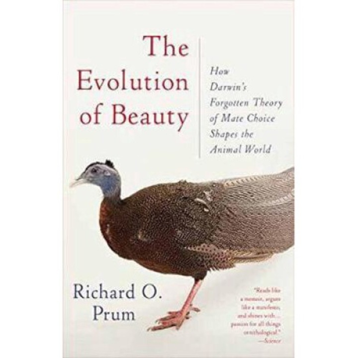 Evolution Of Beauty - Richard O. Prum