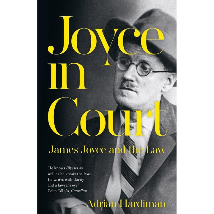 Joyce In Court - Adrian Hardiman
