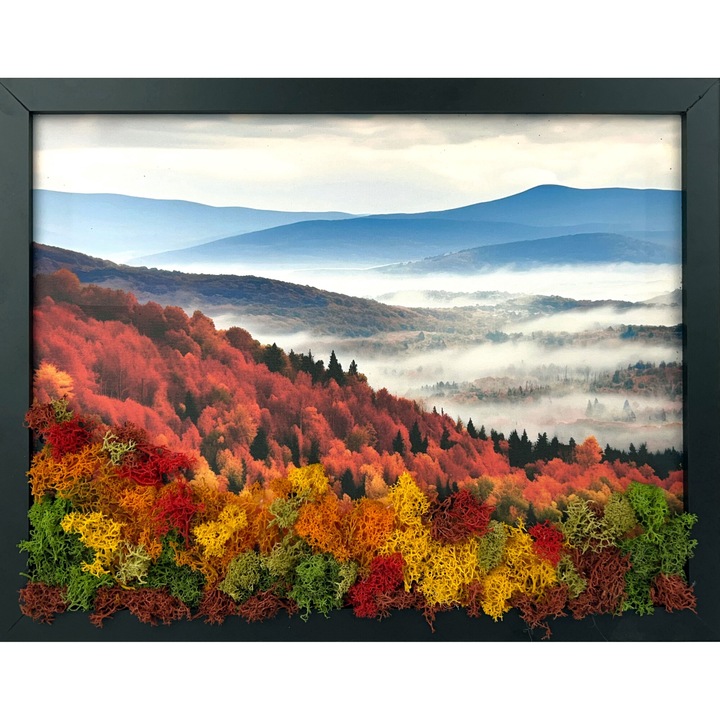 Tablou canvas cu licheni - Autumn Forest 35x45 cm, MH0015
