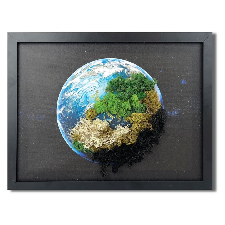 Tablou canvas cu licheni - Planet Earth 35x45 cm, MH0016
