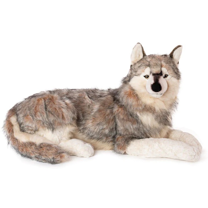 Lup siberian de plus Amek 70 cm